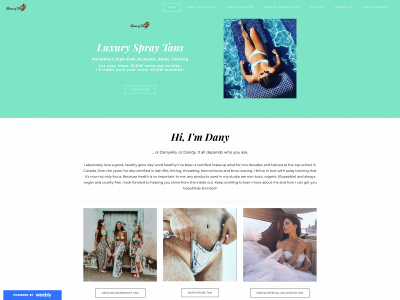 www.dandytan.com snapshot