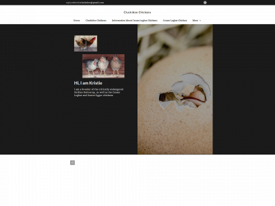 cluckidoochickens.com snapshot