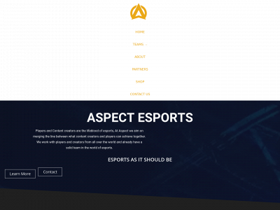aspect.gg snapshot