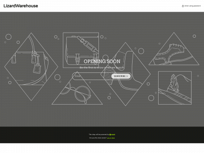 lizardwarehouse.com snapshot