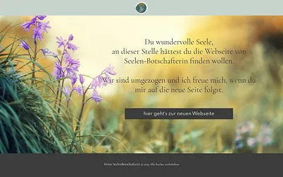 seelen-botschafterin.com snapshot