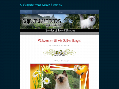 sajberkattens.se snapshot