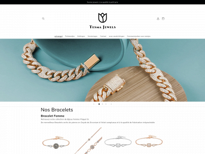 tesmajewels.nl snapshot