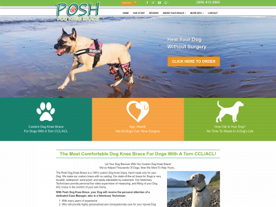 poshdogkneebrace.com snapshot