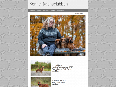 kenneldachselabben.com snapshot