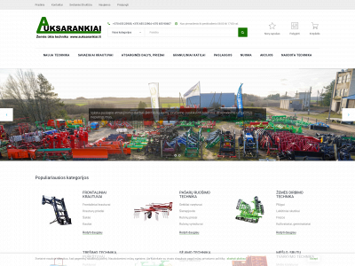 auksarankiai.lt snapshot