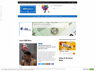 bigbrothermzansi.co.za snapshot