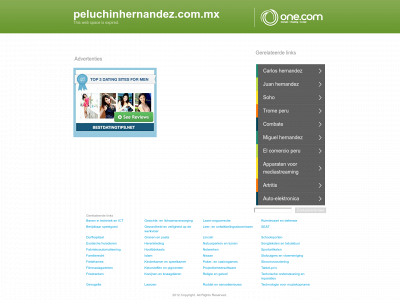 peluchinhernandez.com.mx snapshot