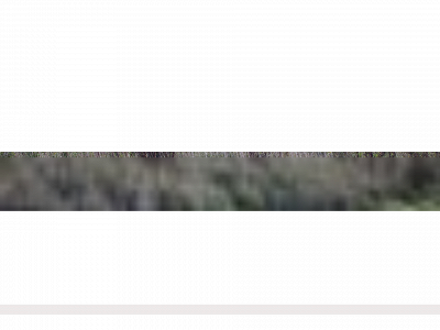 forsbacksamfallighetsforening.se snapshot