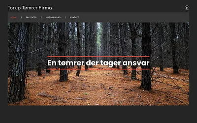toruptoemrerfirma.dk snapshot