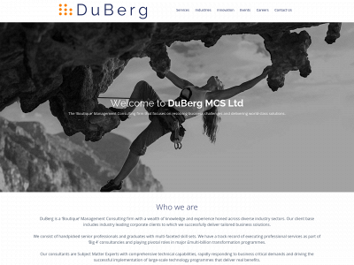dubergconsulting.com snapshot