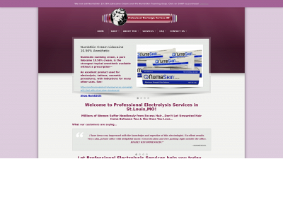 professionalelectrolysisservices.com snapshot