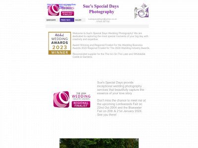 suesspecialdays.co.uk snapshot