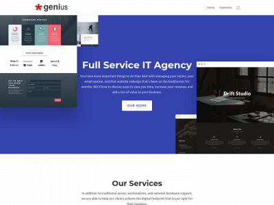 mygeniusbiz.com snapshot