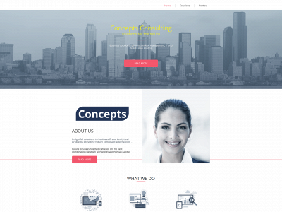 conceptsconsultingltd.co.uk snapshot