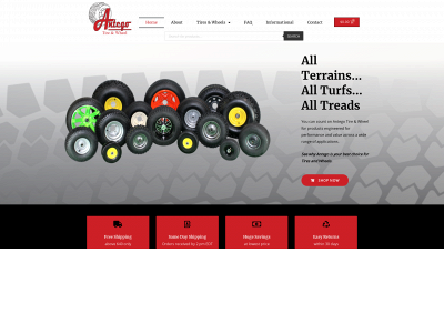antegotire.com snapshot