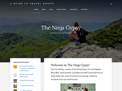 theninjagypsy.com snapshot