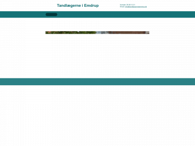 tandlaegerneiemdrup.dk snapshot