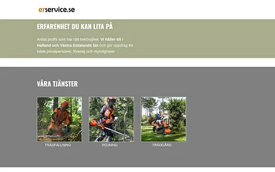 erservice.se snapshot