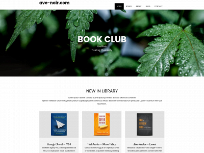 ave-noir.com snapshot