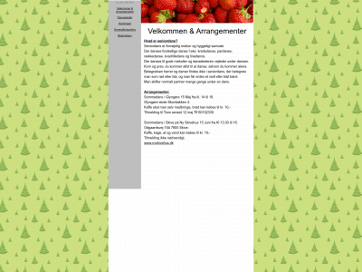 seniordansregionviborg.dk snapshot