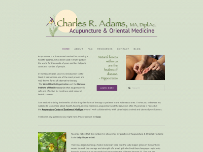 chasadams.com snapshot