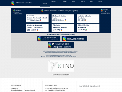 transdisciplinarymedicine.com snapshot