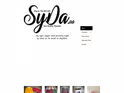 syda.no snapshot