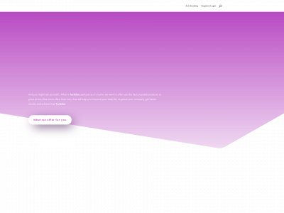 techzen.online snapshot