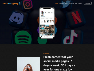 socialnetagency.com snapshot
