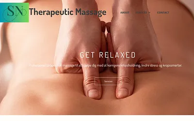 snt-massage.dk snapshot