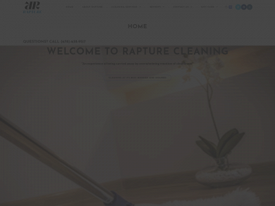 rapturecleaning.com snapshot
