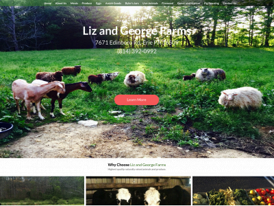 lizandgeorgefarms.com snapshot