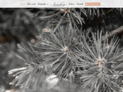 muratkurt.de snapshot
