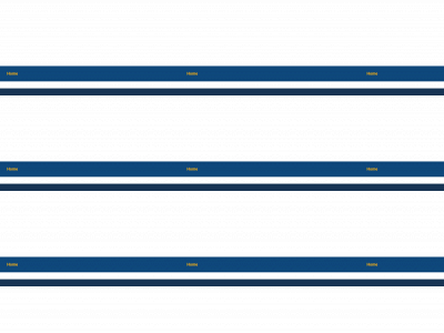 silverforestusa.com snapshot