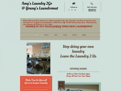 amyslaundry2go.com snapshot