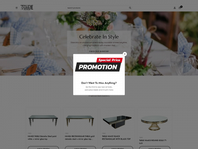 touchedeleganceeventrentals.com snapshot