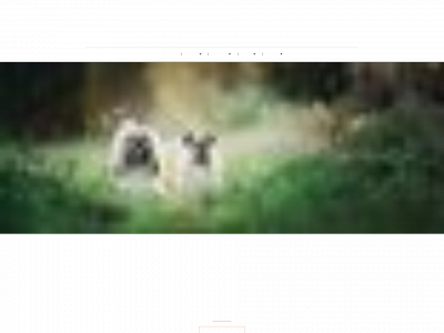 jrehnman.se snapshot