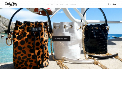 chelseycomfort.com snapshot