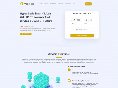 yearrise.finance snapshot