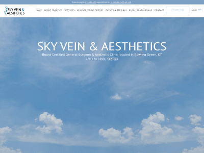 skyveins.com snapshot