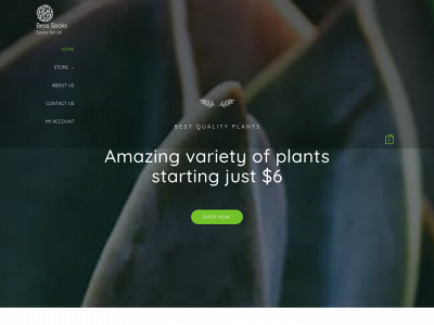 besssocks.com snapshot