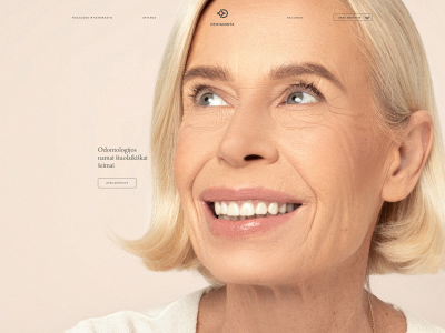 dentaminta.lt snapshot