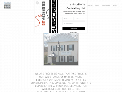 monicalynnsalon.com snapshot