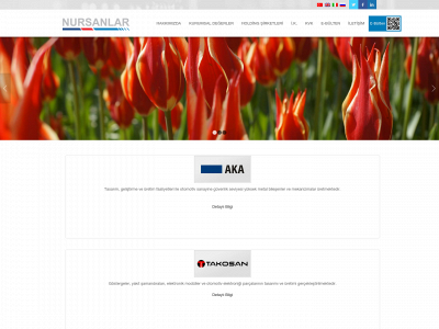 nursanlar.com snapshot