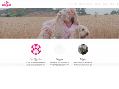 coredogs.se snapshot