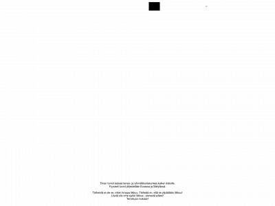 tiinantunnit.fi snapshot