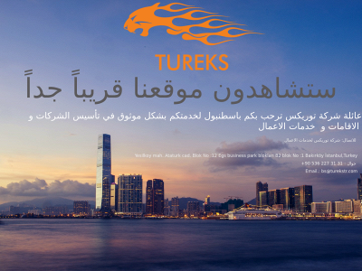 turekstr.com snapshot