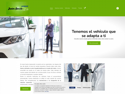 javiergarciaautomocion.com snapshot