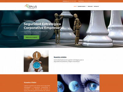 dvsconsultores.com snapshot